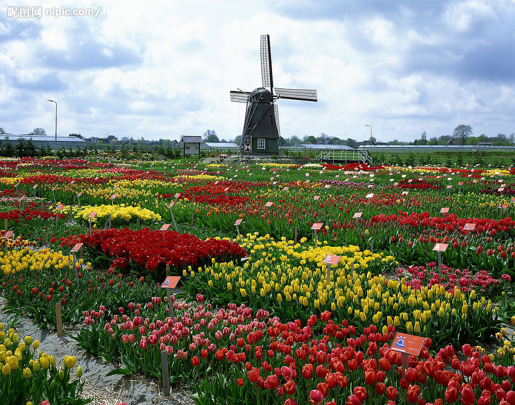荷兰风景  World Travel 世界旅遊