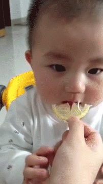Baby :  Lemon is good!  Baby 虾仔虾女
