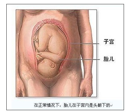 性剖腹产全过程  媽媽 + 寶寶