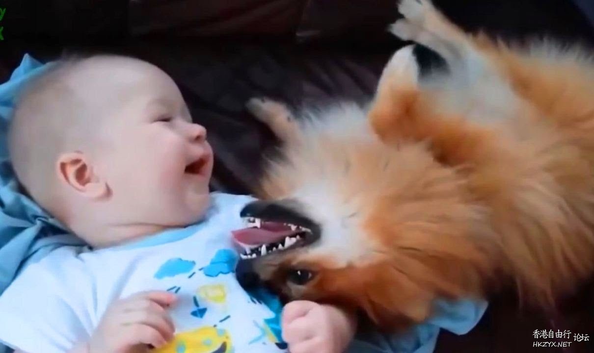 Best friends are a little kid  Funny Baby