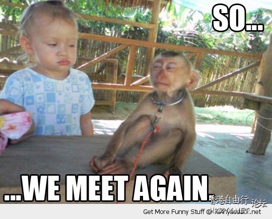 Monkeys say Hi !  Ecology 生態留影