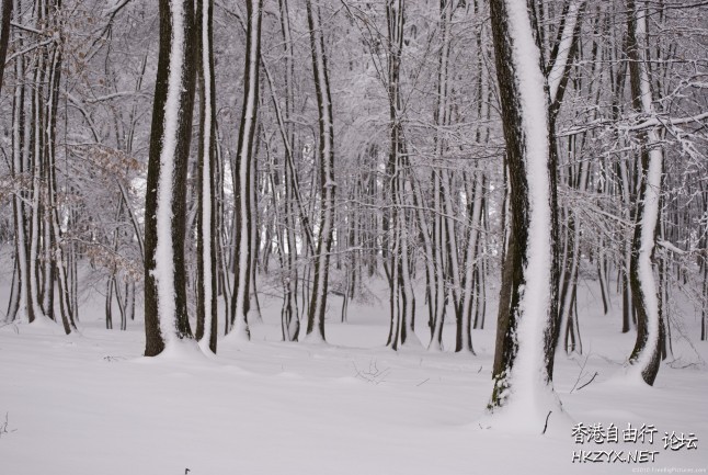 冬季雪景   Landscape 山水湖林