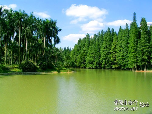廣州市華南植物園  ChinaTravel 中國觀光景點