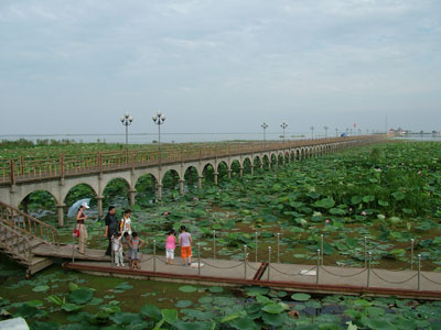 江漢最大淡水湖泊-洪湖  ChinaTravel 中國觀光景點