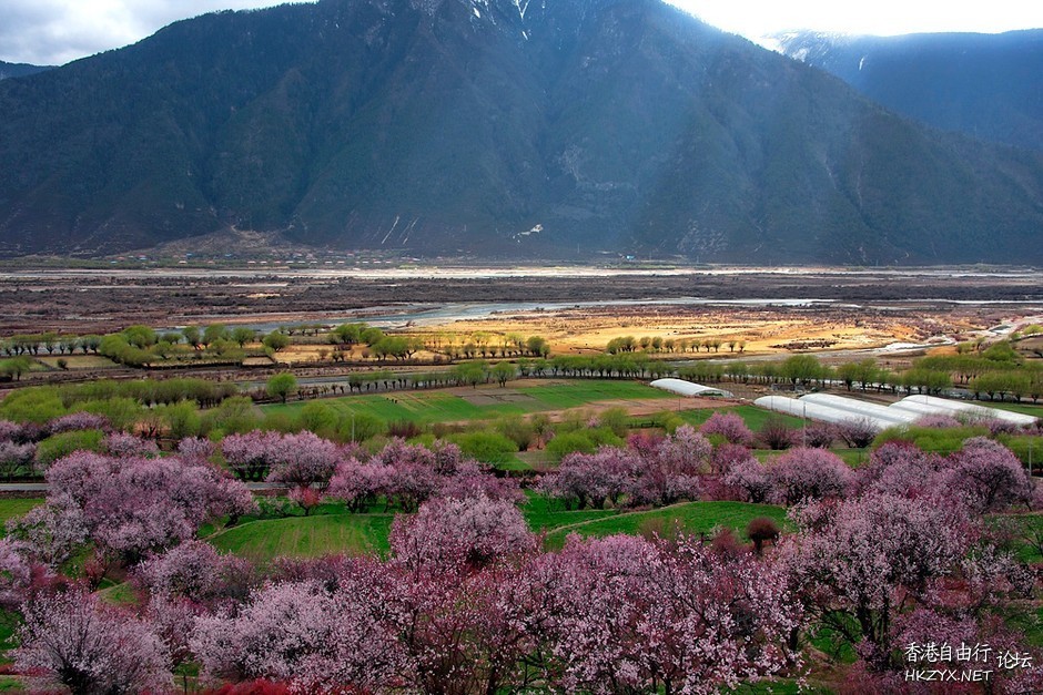 西藏：龙王谷——鲁朗  ChinaTravel 中國觀光景點