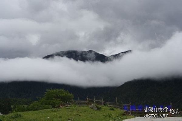 西藏：龙王谷——鲁朗  ChinaTravel 中國觀光景點