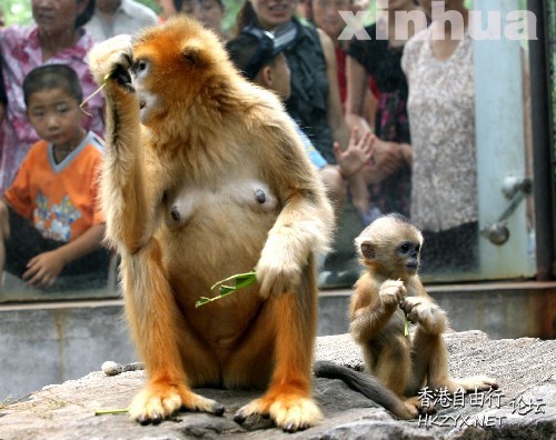 濟南動物園圖  ChinaTravel 中國觀光景點