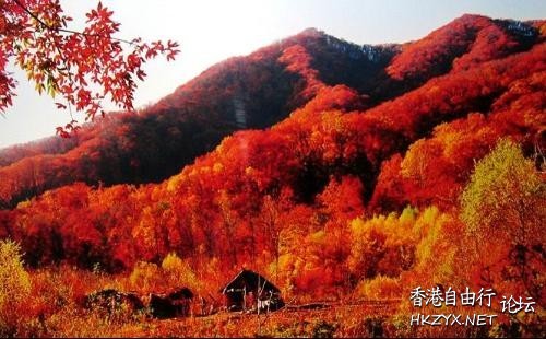 濟南紅葉谷  ChinaTravel 中國觀光景點