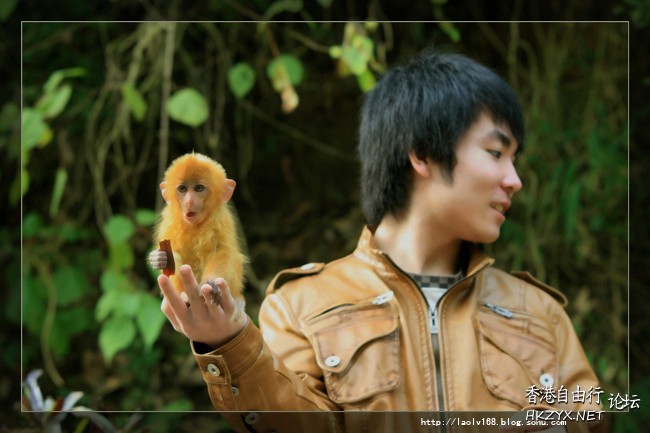 Monkeys say Hi !  Ecology 生態留影