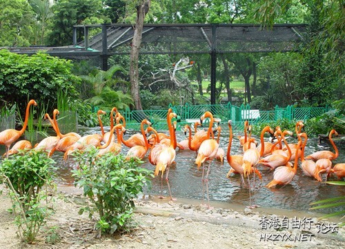 香港動植物公園  香港旅游專線
