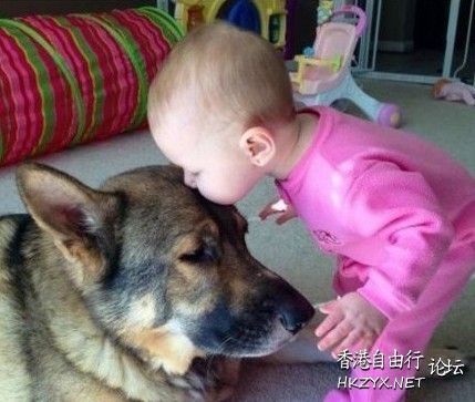 Dog : 我要 Kiss  Kiss 我要咀咀