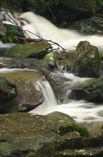 去新娘潭拍攝溪流與瀑布  休閒好去處 + 投稿站