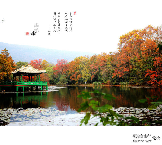 南京钟山梧桐树呈现美丽  ChinaTravel 中國觀光景點