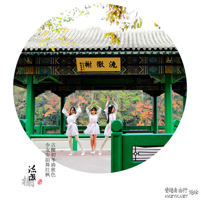 南京钟山梧桐树呈现美丽  ChinaTravel 中國觀光景點
