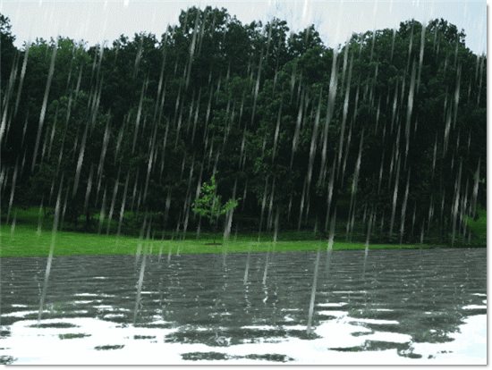 rain-fall-animation.jpg