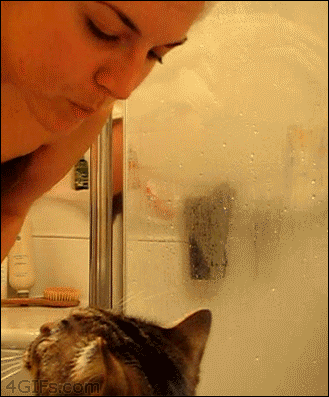 猫是这世界上最温柔的物种  Pets 寵物護理 +紀念堂