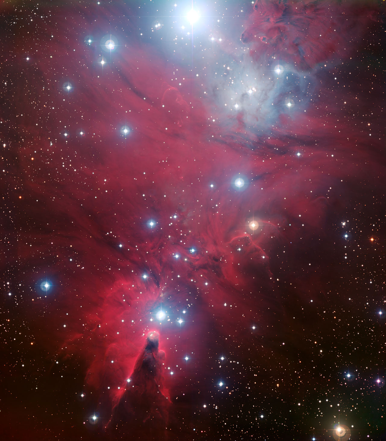 NGC 2264和圣诞树星团  天文探討
