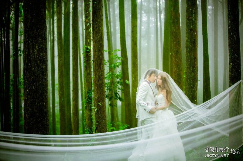 享受著森林浴-拍攝婚紗  婚礼服務