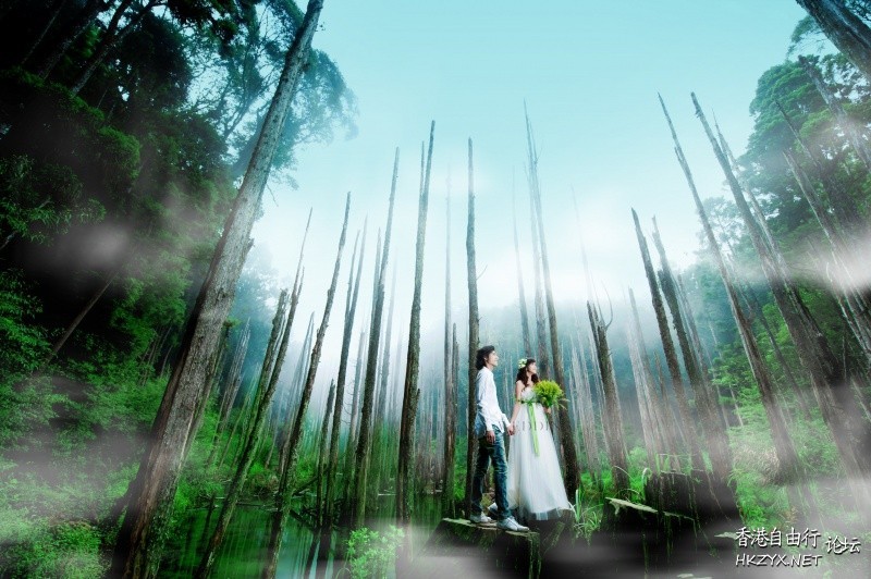 享受著森林浴-拍攝婚紗  婚礼服務