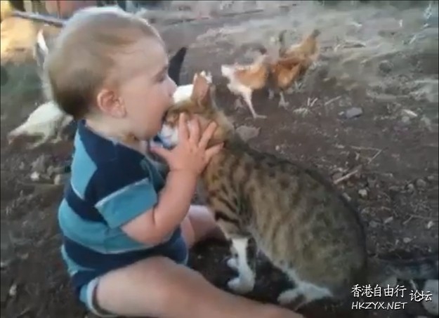 funny baby with pets  Funny Baby