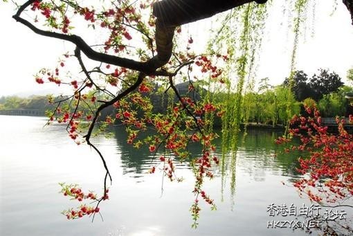 西湖美景惹人醉  ChinaTravel 中國觀光景點