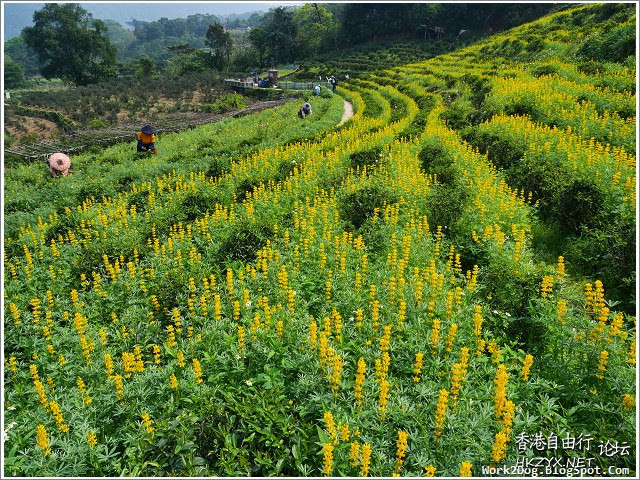   貼上 精華分享