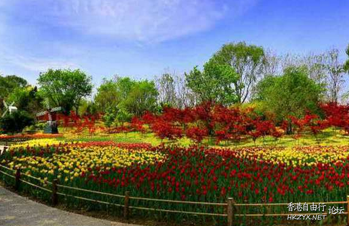 濟南植物園  ChinaTravel 中國觀光景點