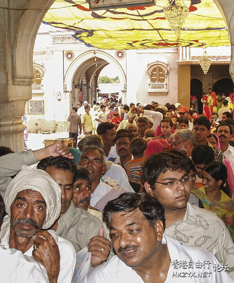 印度神庙信徒与老鼠共食  專題報導